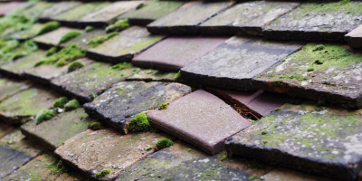Babel roof repair costs